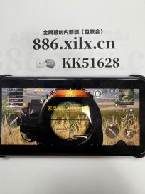 索尼克在2020东京奥运会一键自动脚本升级 索尼克在2020东京奥运会如何在电脑上玩？